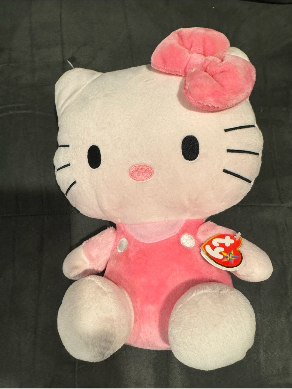 New Tags On TY Hello Kitty Pink Plush Toy - Soft Pink Kitty Doll